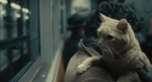 llewyn-davis-cat-gif